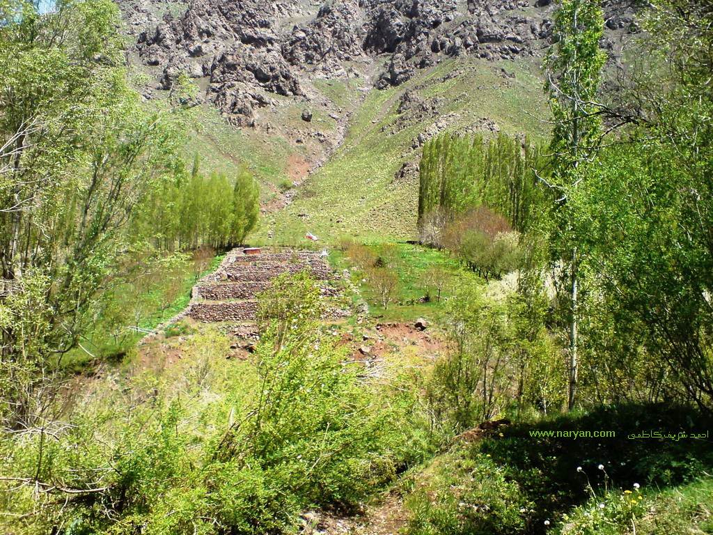 AhmadSharifKazemi1393 (14).jpg